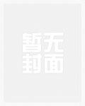轮回塔陆仁境界划分